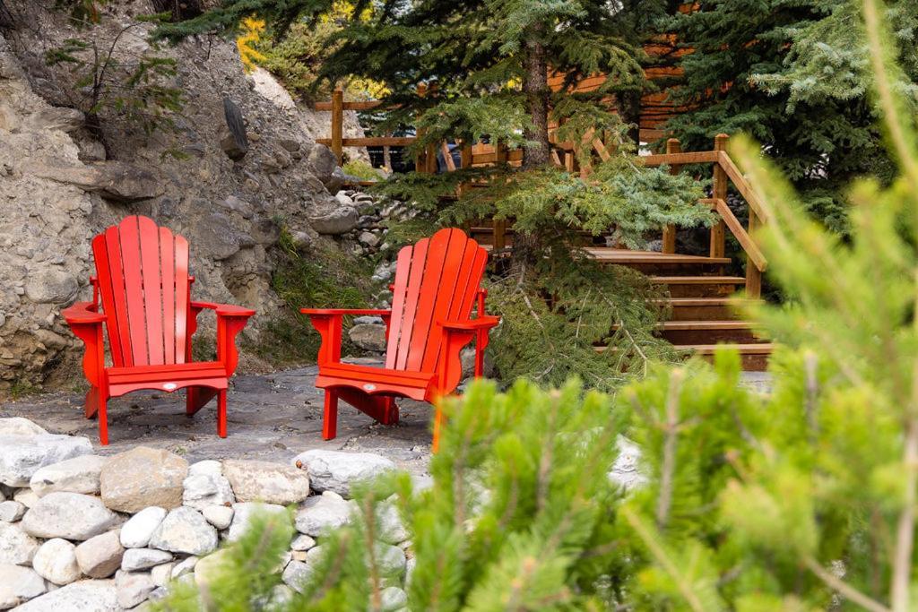 A Bear And Bison Country Inn แคนมอร์ ภายนอก รูปภาพ